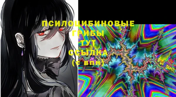 стафф Михайловск