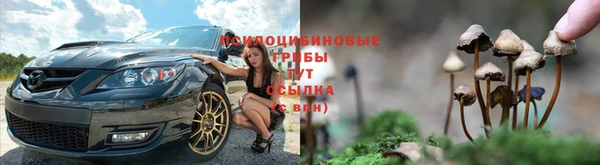 стафф Михайловск