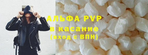 стафф Михайловск