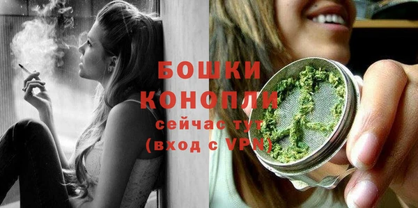 стафф Михайловск