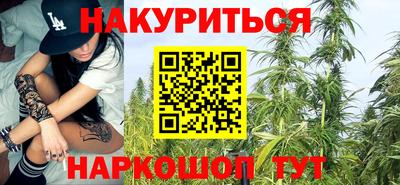 сатива Тверь